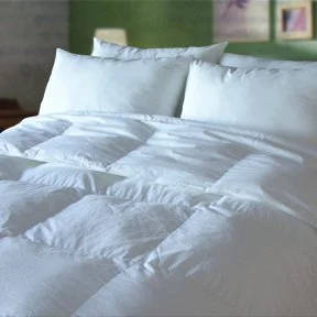 Northern Feather Canada